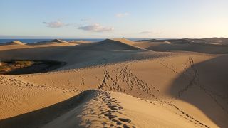 GC-Dunas de Maspalomas sunset 2026-101.jpg